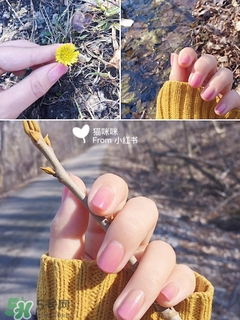 �һ�����ɫ����ָ���ͽ̳� ���仨��������ô��